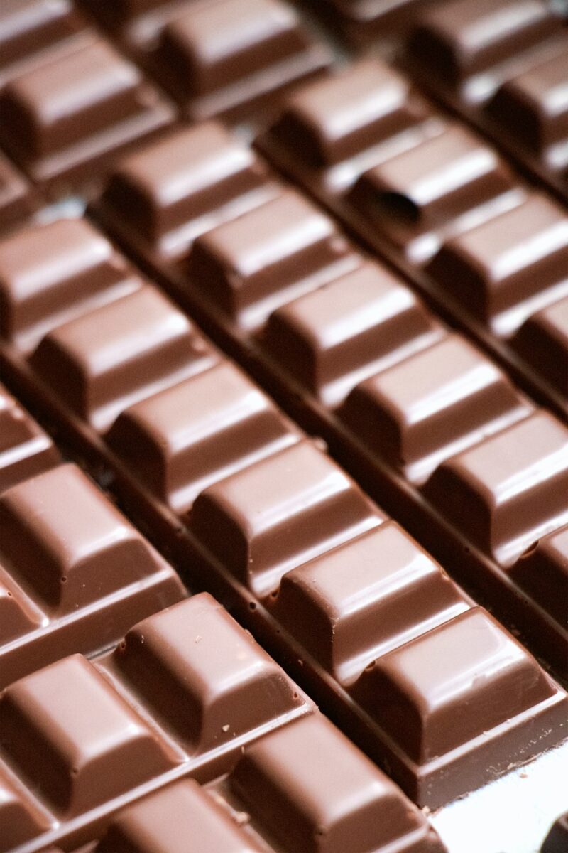 Hond chocola